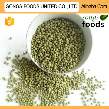 Dry Green Mung Beans Competitive Price